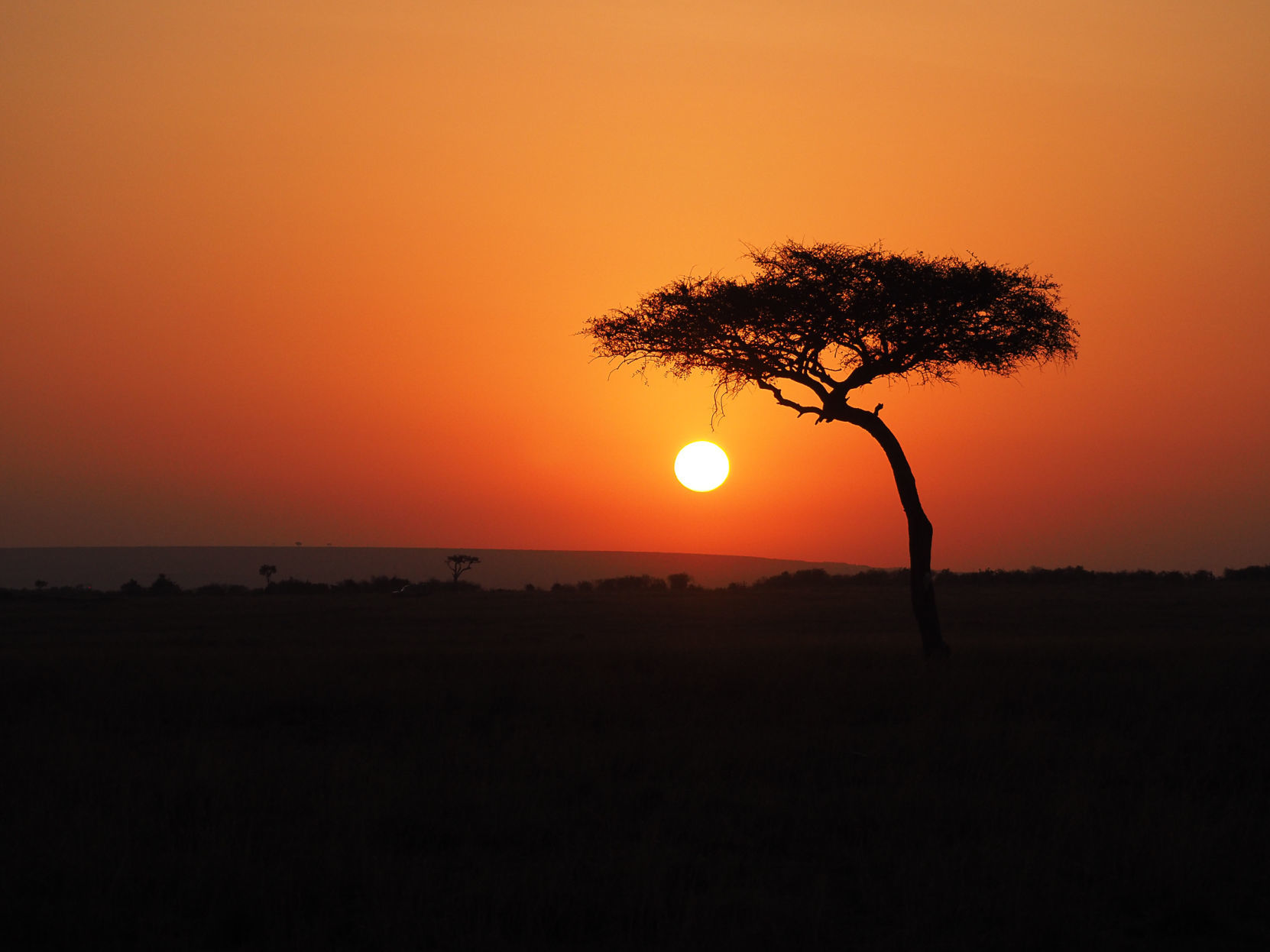 Honorable Mention: Biomass burning produces colorful sunrise